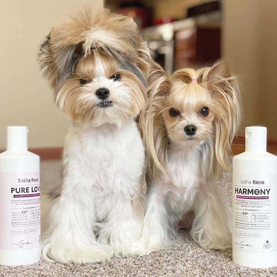 Pure Love Dog Shampoo  Gentle. Natural. For Every Coat & Color.