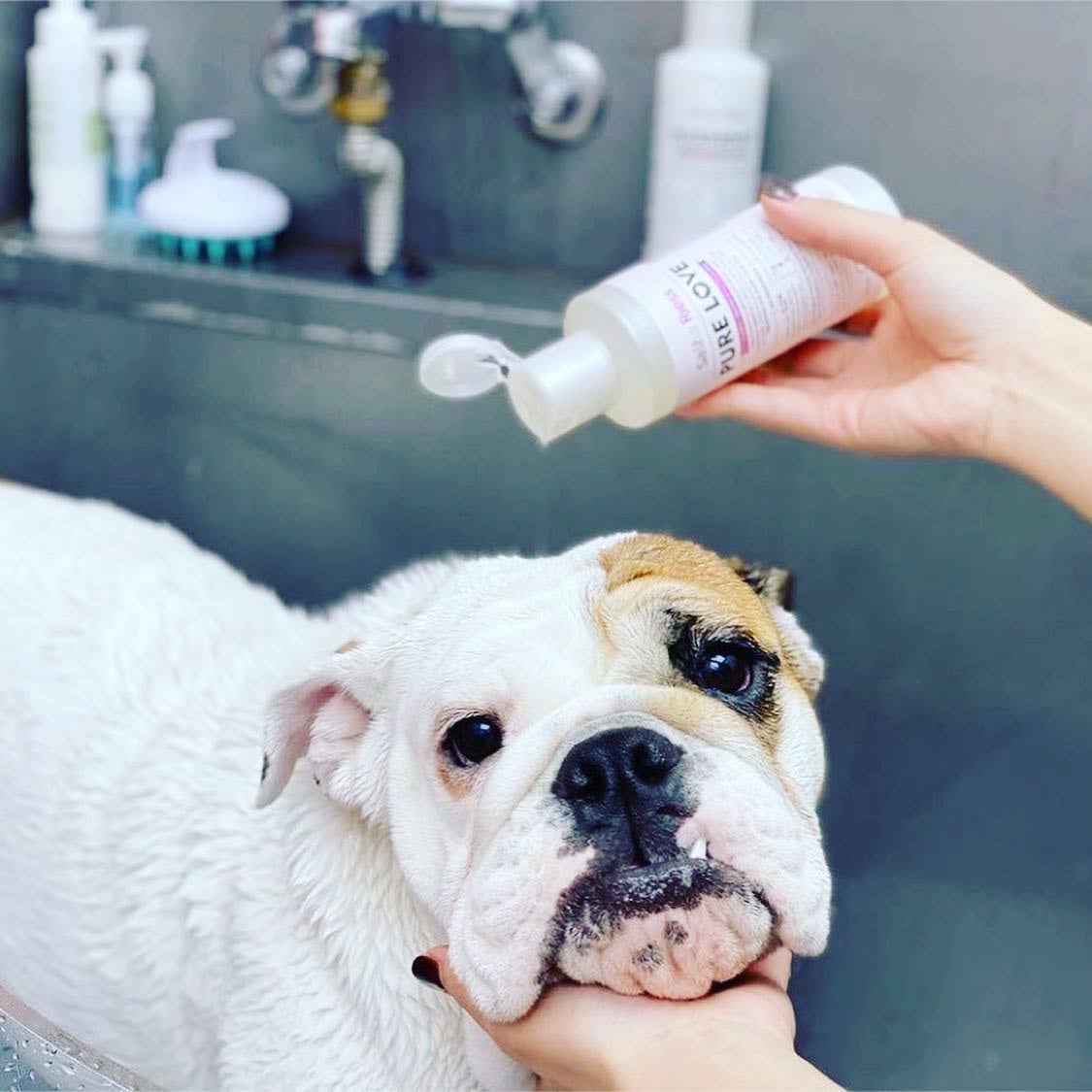 Pure Love Dog Shampoo  Gentle. Natural. For Every Coat & Color.