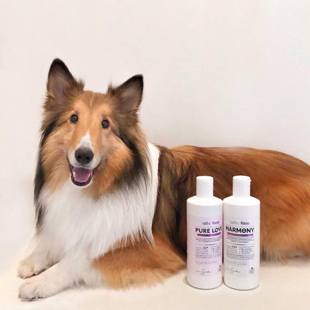 Pure Love Dog Shampoo  Gentle. Natural. For Every Coat & Color.
