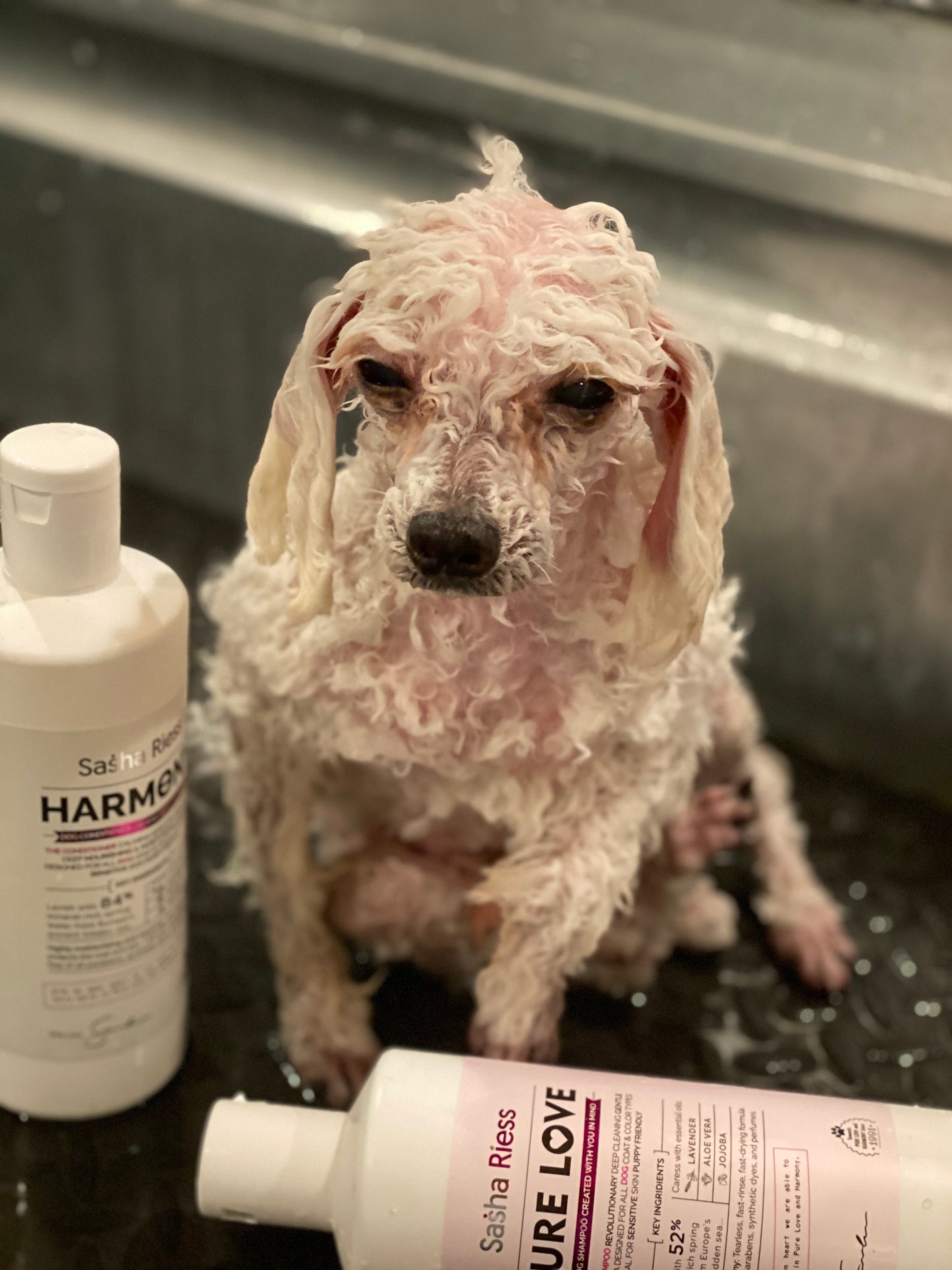 Pure Love Dog Shampoo  Gentle. Natural. For Every Coat & Color.