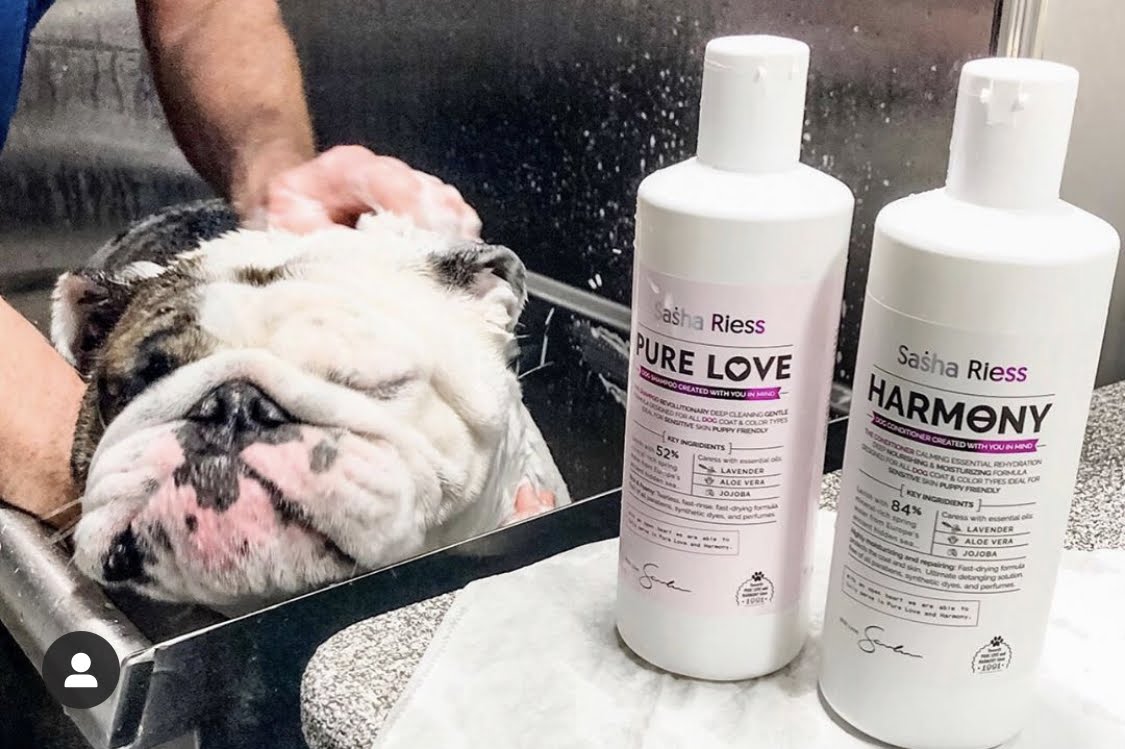 Sasha Riess Harmony Conditioner for Dogs, Puppies & Sensitive Skin, Gentle All-Natural Deep Hydrating Formula with Jojoba Oil & Lavender