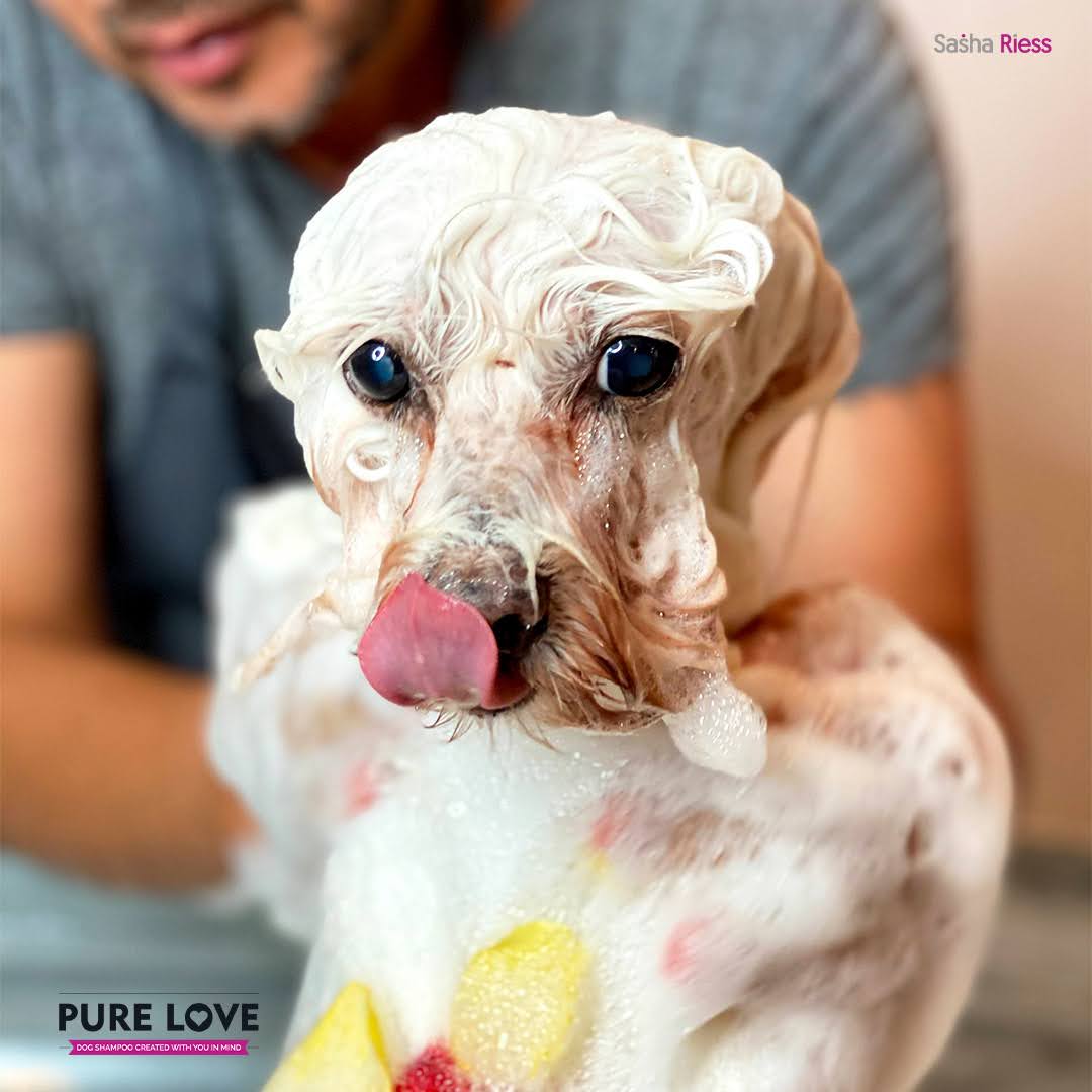 Pure Love Dog Shampoo  Gentle. Natural. For Every Coat & Color.