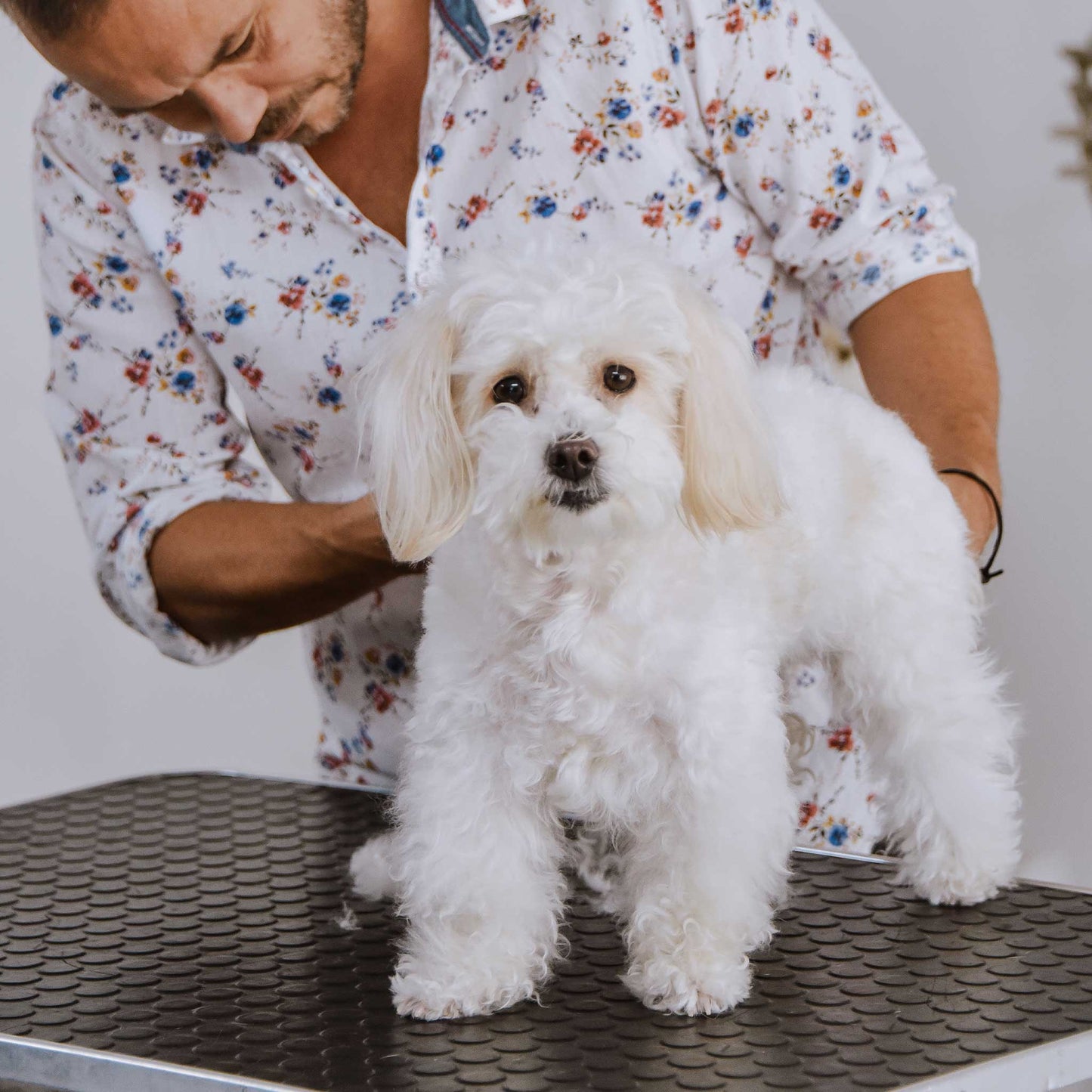 Pure Love Dog Shampoo  Gentle. Natural. For Every Coat & Color.