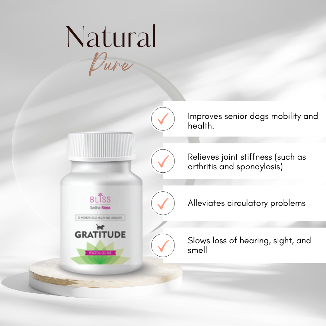 Sasha Riess Bliss GRATITUDE