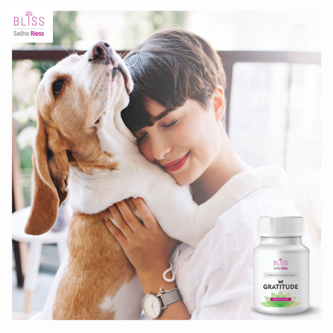 Sasha Riess Bliss GRATITUDE