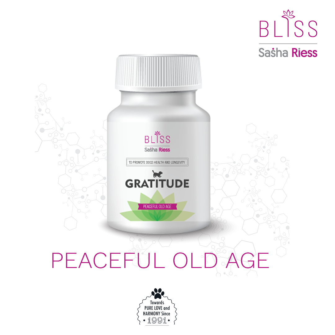 Sasha Riess Bliss GRATITUDE
