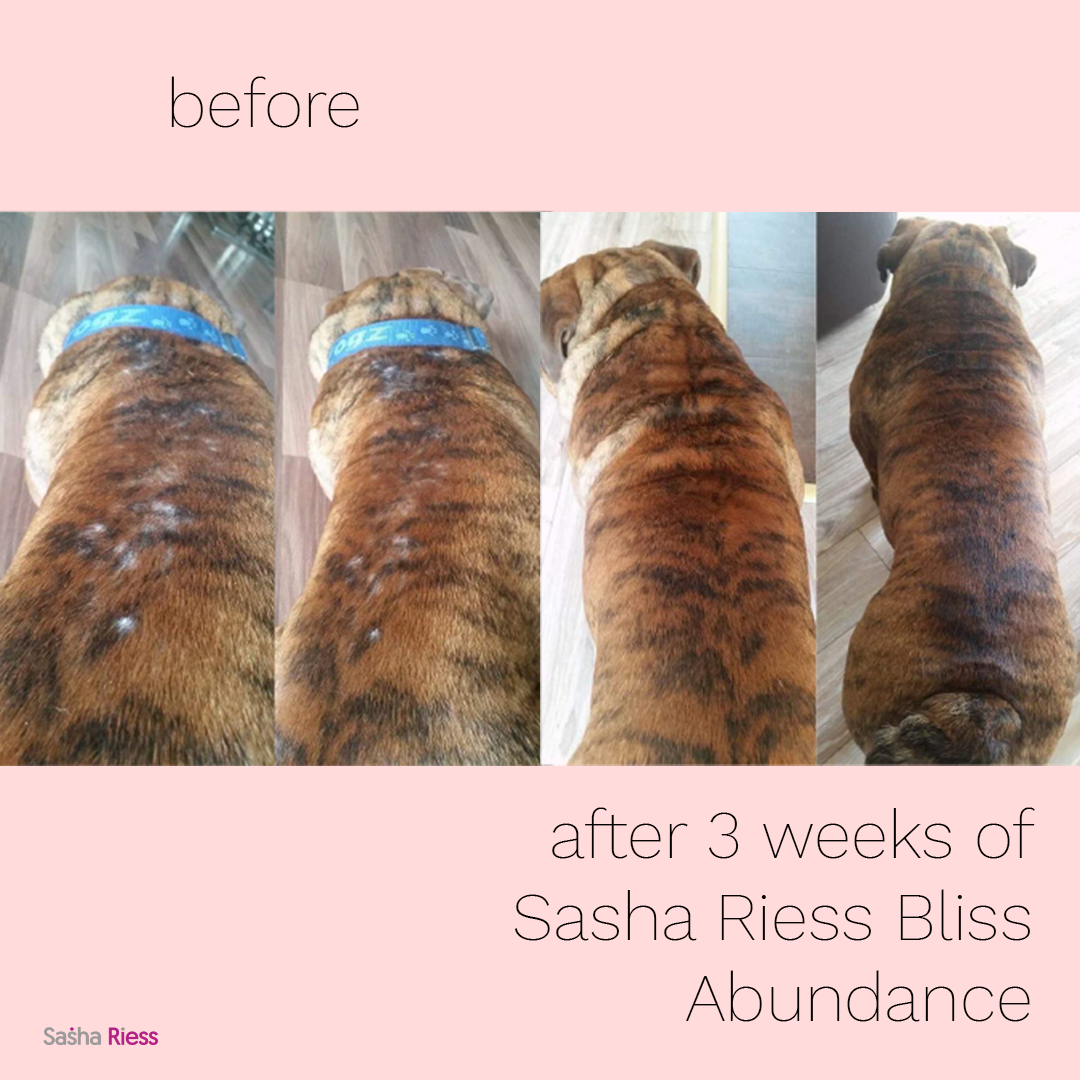 Sasha Riess Bliss ABUNDANCE