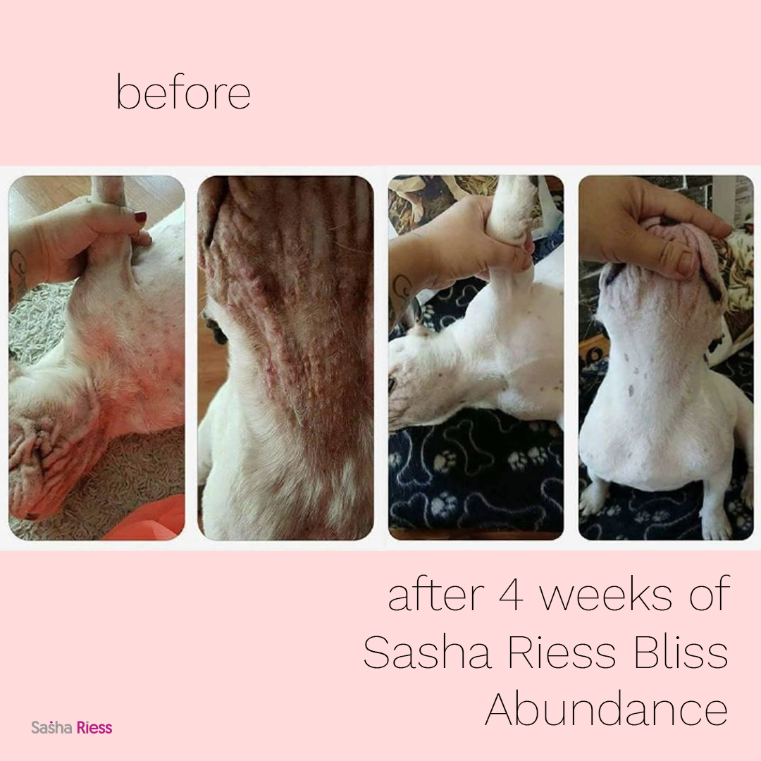 Sasha Riess Bliss ABUNDANCE