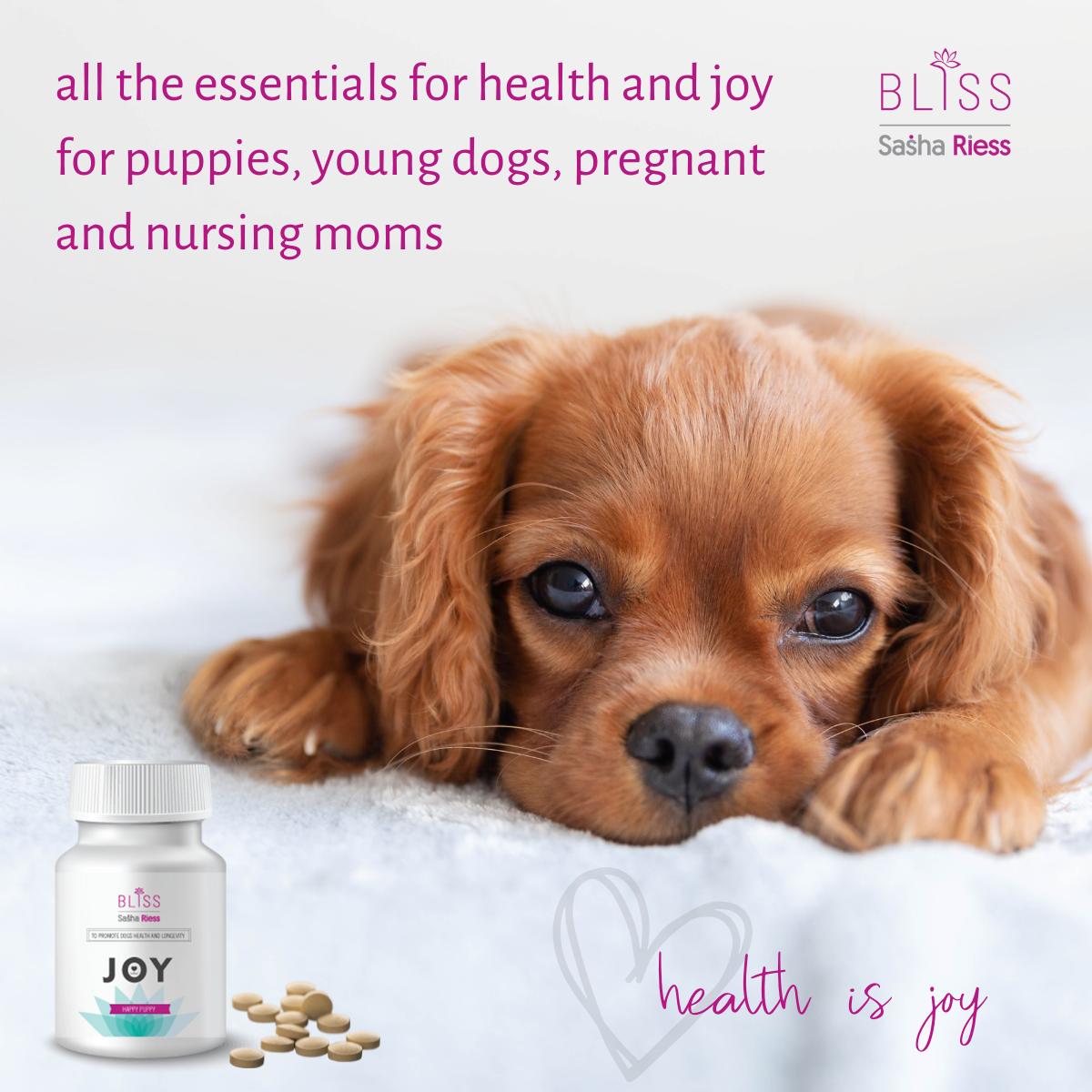 Joy bundle puppy, nursing and pregnant dog supplements bone health and health-boosting vitamins and minerals