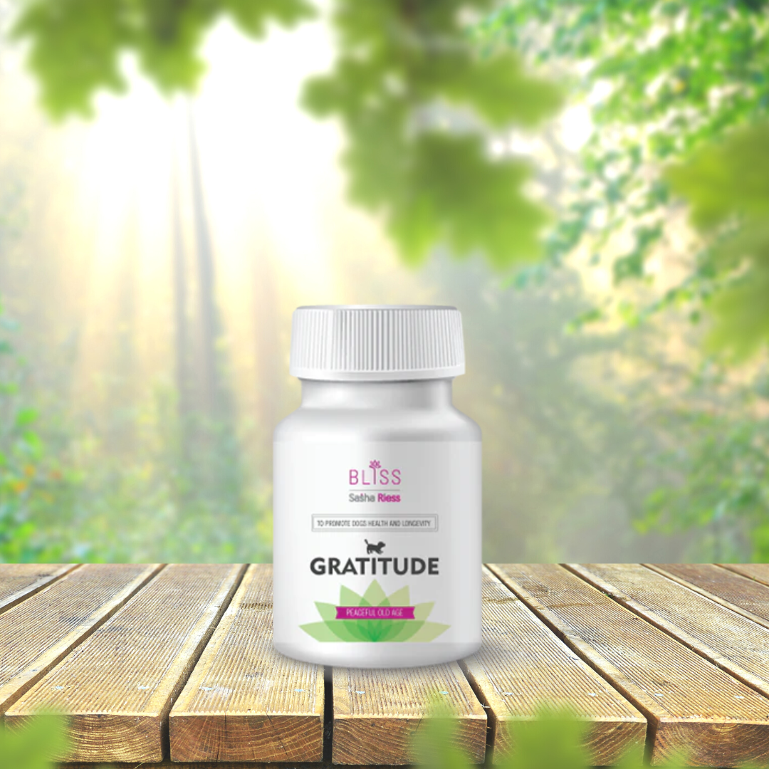 Sasha Riess Bliss GRATITUDE