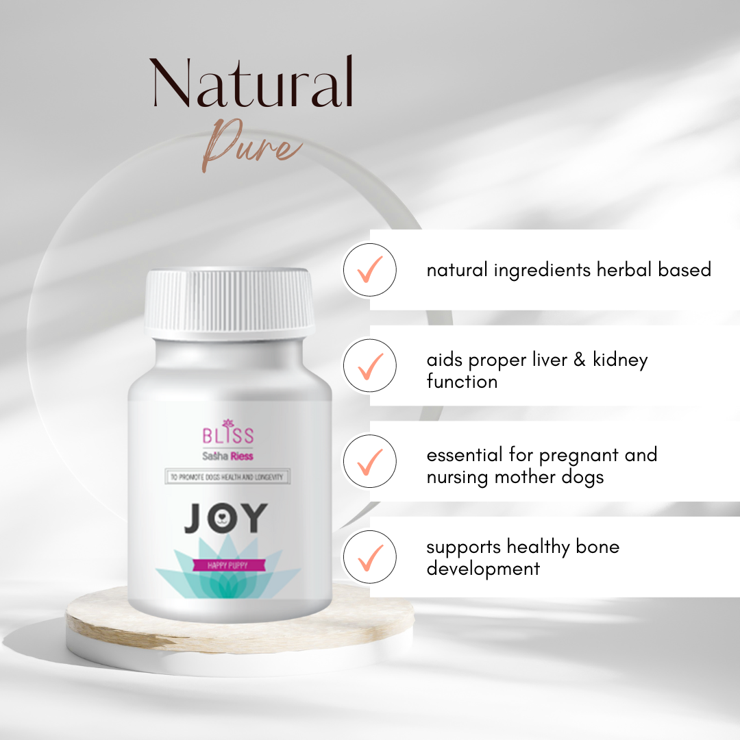 Joy bundle puppy, nursing and pregnant dog supplements bone health and health-boosting vitamins and minerals