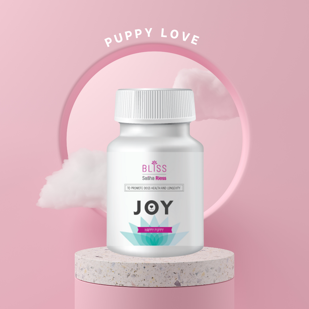 Joy bundle puppy, nursing and pregnant dog supplements bone health and health-boosting vitamins and minerals