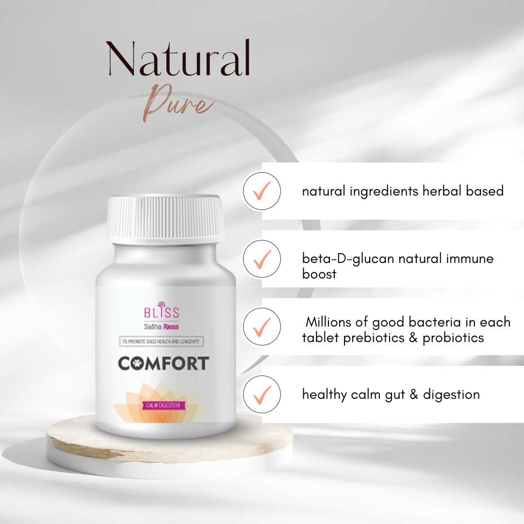 Comfort bundle prebiotics and probiotic supplement gut health aid your dog’s immune and digestive systems