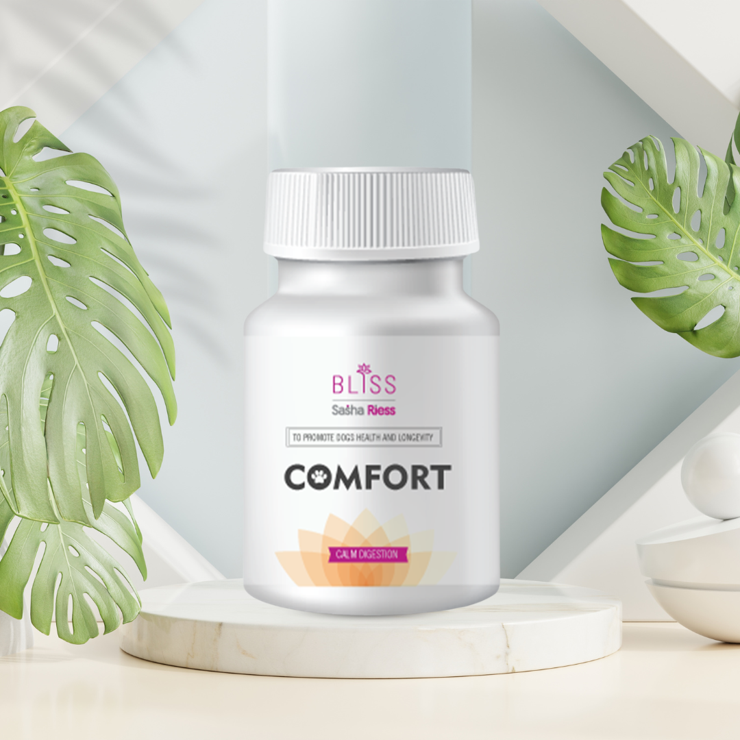 Comfort bundle prebiotics and probiotic supplement gut health aid your dog’s immune and digestive systems